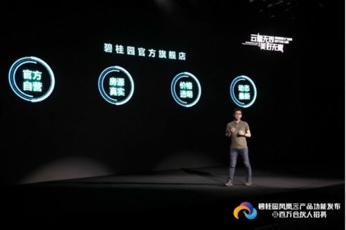 碧桂園鳳凰合伙人 創(chuàng)新營銷管理模式下的點(diǎn)睛之筆